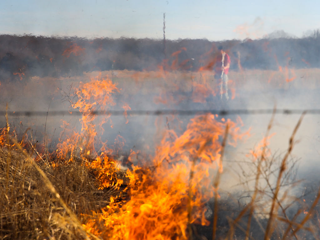 My brother Ayden, separated by fire